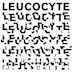 Leucocyte