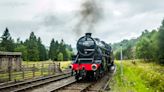 Heritage railway suspends steam trains after fire caused by locomotive