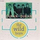The Wild Boys (song)