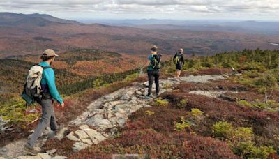 More than 2,700 acres of critical wildlife habitat conserved in Maine’s High Peaks Region in northern Franklin County