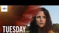 TUESDAY with Julia Louis-Dreyfus Is a Surreal, Poignant, and Wholly Original Modern Fairy Tale