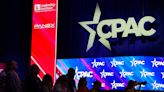 Vice chair of CPAC steps down