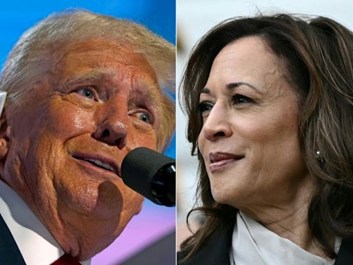 Harris blitzes battlegrounds as Trump schedule raises eyebrows