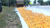 Ducks to go on sale ahead of 36th annual Duck Race