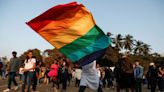 India government calls same-sex marriage appeals 'urban elitist views'