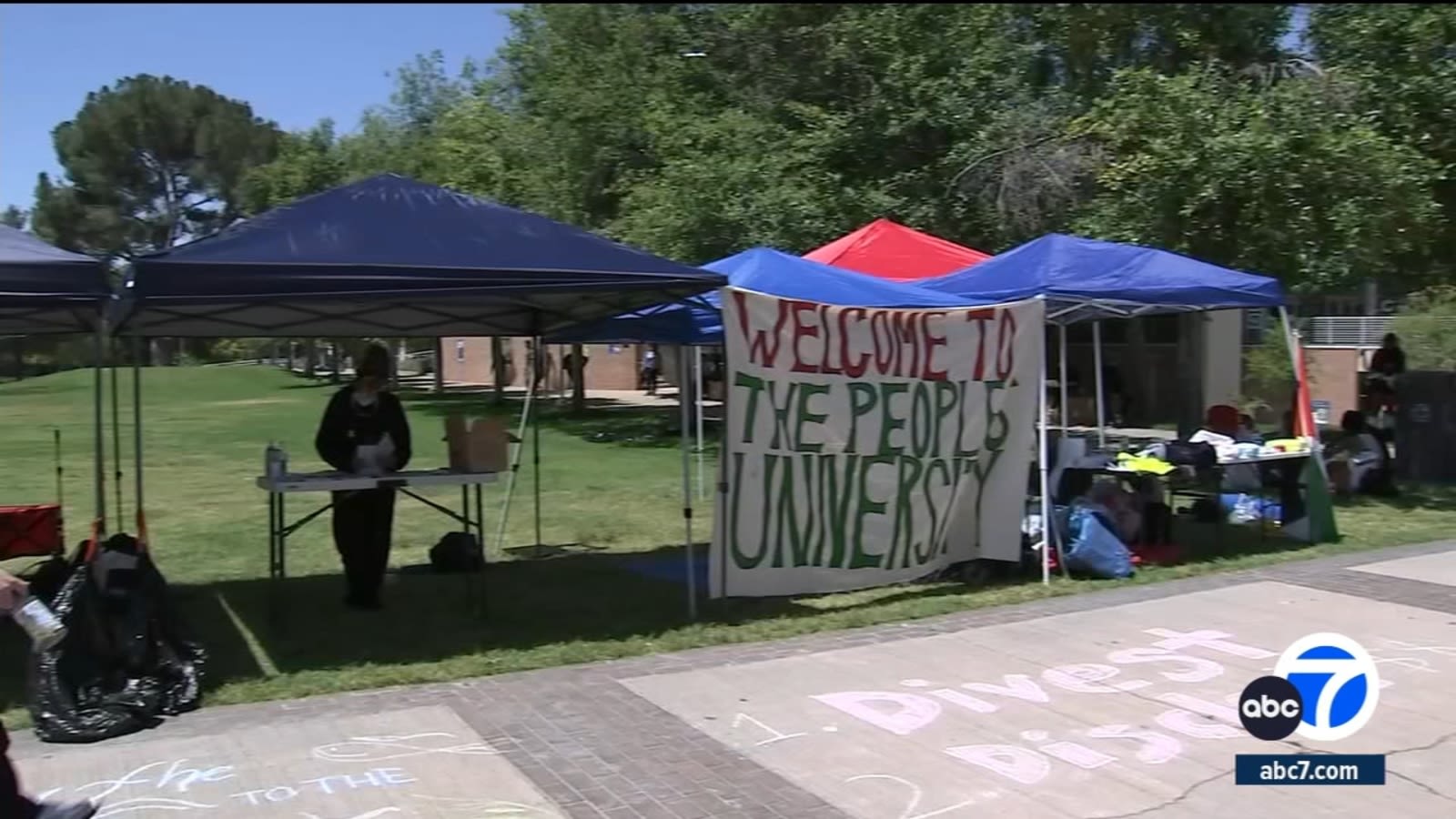 Students at UC Riverside, Irvine join protests over Israel-Hamas war