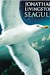 Jonathan Livingston Seagull (film)