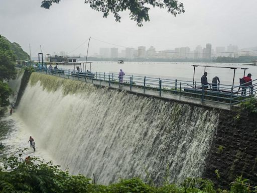 Water stock in Mumbai lakes at 38 per cent, says BMC