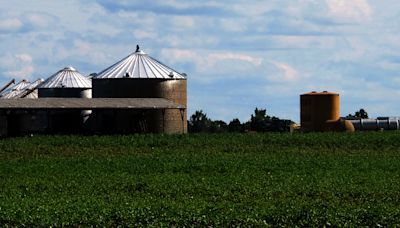 Map Shows States Where Most Americans Are Homesteading