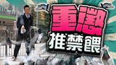 禁餵野鴿草案獲三讀通過 議員斥執法人手不足令法例變無牙老虎