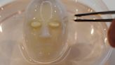 Say cheese: Japanese scientists make robot face 'smile' with living skin