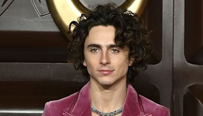 Timothee Chalamet to Star in Josh Safdie & A24′s New Movie About Pro Ping Pong Player Marty Reisman