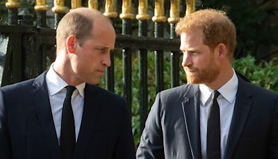 Prince William, Prince Harry feud could finally be resolved thanks to Princess Diana's family: expert