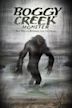 Boggy Creek Monster (film)