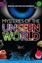 Mysteries of the Unseen World