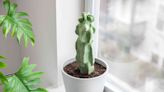 How to Grow and Care for the Totem Pole Cactus