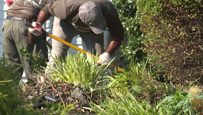 Frederick landscapers make adjustments to deal with extreme heat