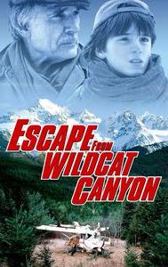 Escape From Wildcat Canyon