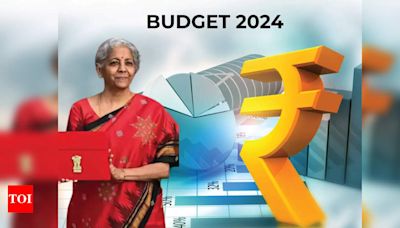 Budget 2024: Microsoft and NXP India heads laud FM’s vision - Times of India