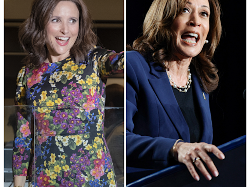 Was Kamala Harris' rise predicted by 'Veep'? HBO series enjoys viewer surge