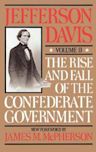 The Rise and Fall of the Confederate Government, Volume 2