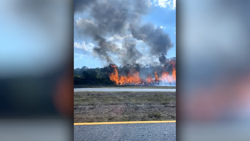 Brush fires burn areas in several Tampa Bay-area counties