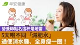 5天喝不同「減肥水」通便消水腫、全身瘦一圈！營養師點名這杯是地雷