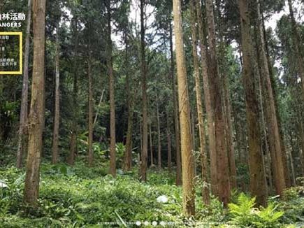 TNFD官方登錄全球排名台灣坐四望三 欲加速實踐 生物多樣性更應聚焦台灣行動