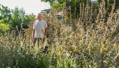 In a hot L.A. neighborhood full of brown lawns, his DIY native plant garden thrives