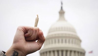 Into the weeds of what DEA rule changes on marijuana mean for feds