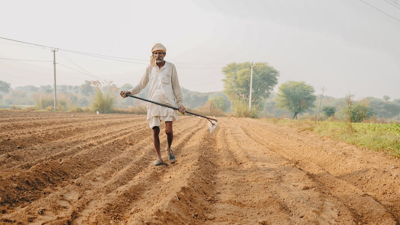 Rural India's economic distress poses post-election challenge - BusinessWorld Online