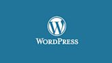 This WordPress plugin with 5 million users could have a serious security flaw