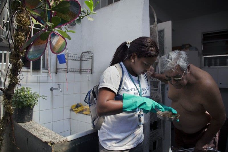 Brazil is in the grip of a dengue fever outbreak with no end in sight