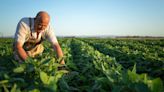 Salários no agro tem forte alta desde o período pré-pandemia; ES se destaca com expansão de 24,3%