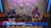 Furry Friends: Marble and Gabby would love a forever home!