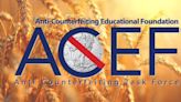 Anti-Counterfeiting Foundation Creates Trusted Experts Directory