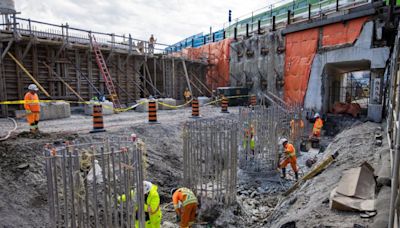 Rise in rat infestations in Toronto leads councillors to push for pest control policy