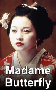 Madame Butterfly (1995 film)