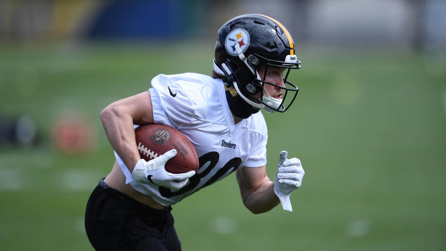 Dolphins Release Former Steelers WR