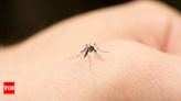 Debunking dengue myths in India: Separating fact from fiction - Times of India