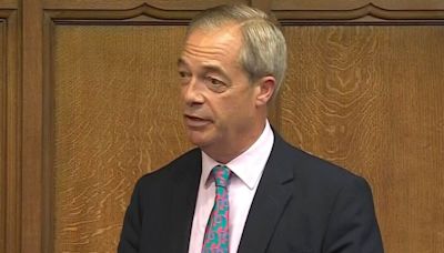 Nigel Farage warns there is 'no opposition' after attending first PMQs