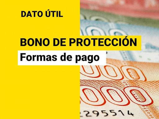 Bono de Protección: ¿Cómo se paga el beneficio para dueñas de casa que se extiende por dos años?