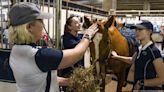 American Royal celebrates 125th anniversary with eight local brand partnerships - Kansas City Business Journal