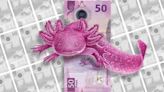 ¿Cuál es el valor real de la colección de 5 billetes del ajolote ‘serie As’ que se vende hasta en millones de pesos?