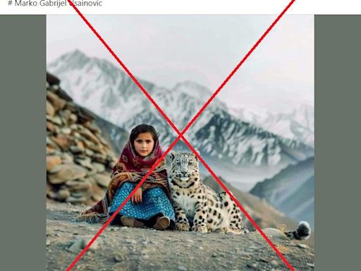 AI-generated image falsely shared as genuine photo of 'Afghan girl with snow leopard she rescued'