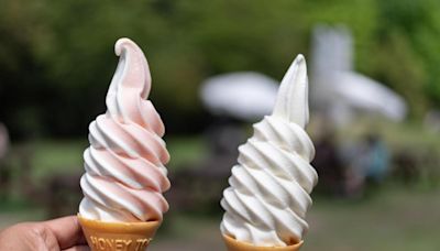 The cheapest Mr Whippy ice cream in the UK can be found at this South Wales spot