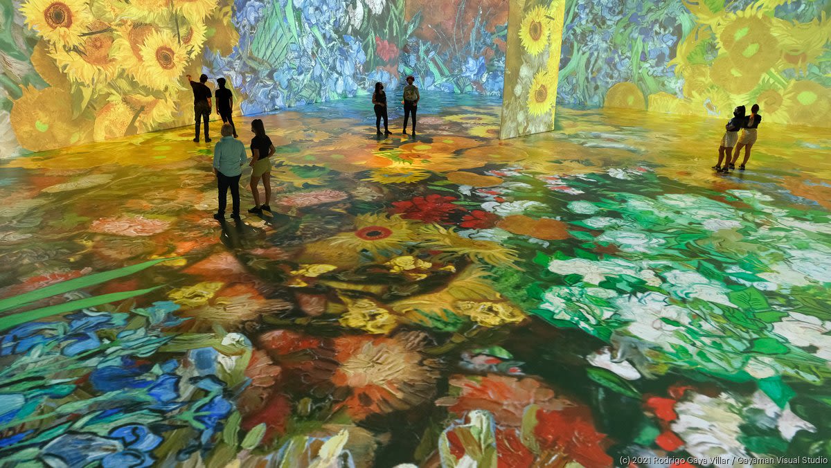 Beyond Van Gogh, Monet immersive art exhibits cancel Baltimore run - Baltimore Business Journal
