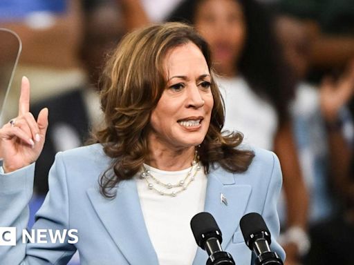 Who will Kamala Harris pick for VP? Shapiro and Kelly among finalists