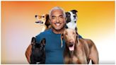 Cesar Millan: Better Human, Better Dog Season 3 Streaming: Watch & Stream Online via Hulu & Disney Plus