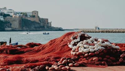 廢棄漁網是海洋生態殺手！「再生尼龍」成為解方 - 國際